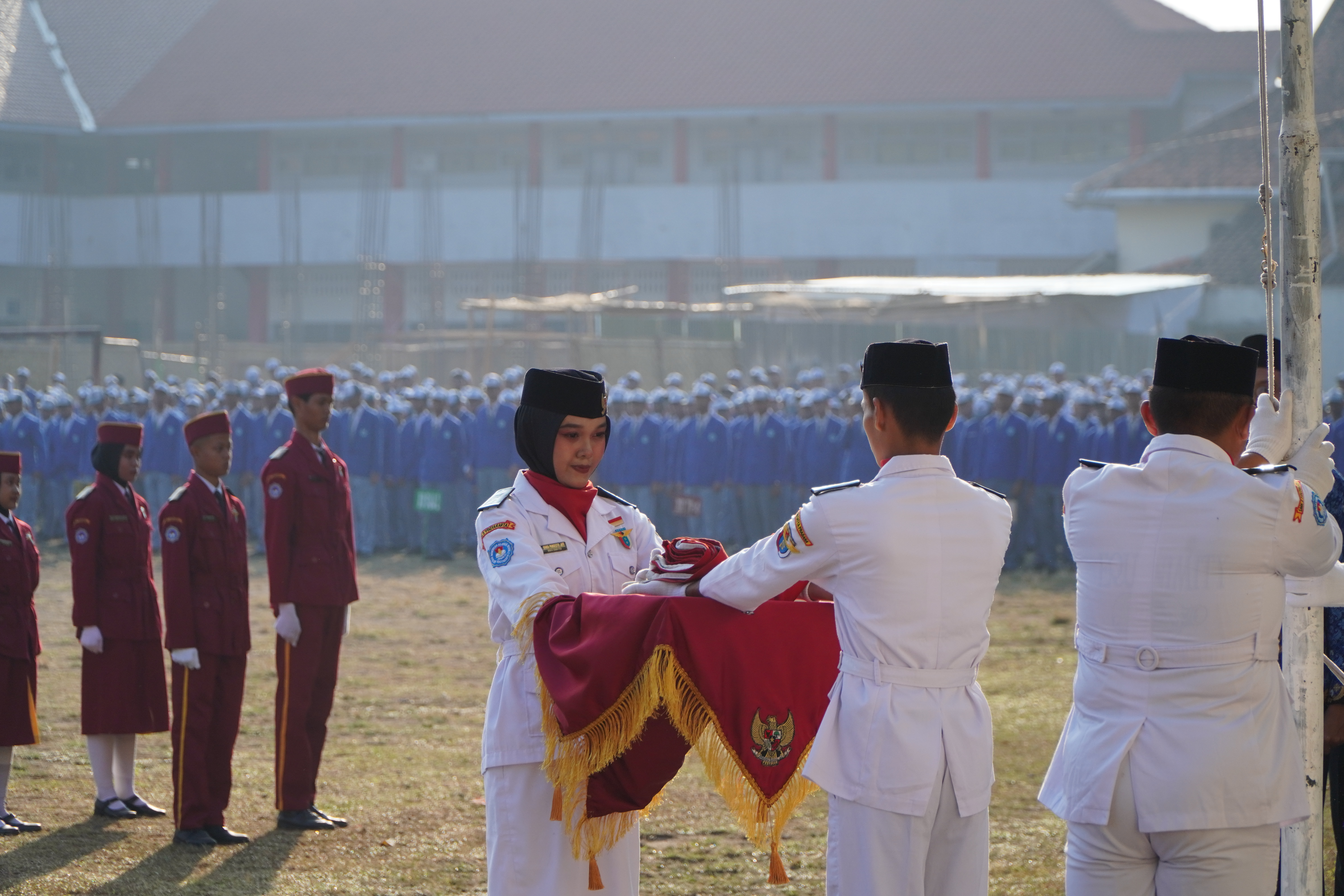 Dokumenter Video WSP